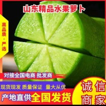 山东平阴萝卜水果萝卜口感好，超市，电商，加工厂
