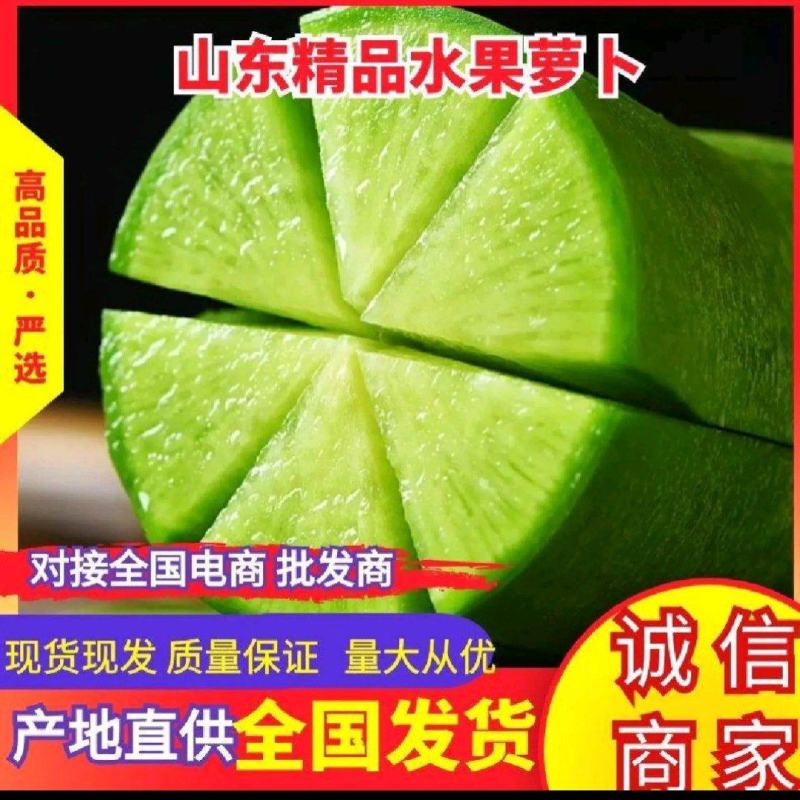 山东平阴萝卜水果萝卜口感好，超市，电商，加工厂