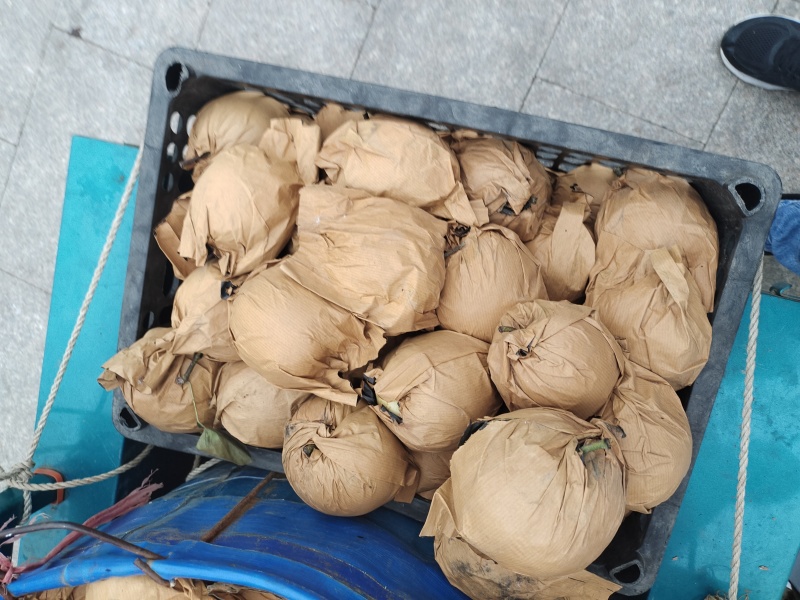 自己山上的没有中间商代办费价格便宜