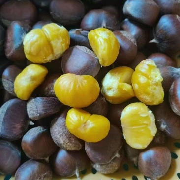 山东板栗高山板栗颗粒饱满香甜软糯