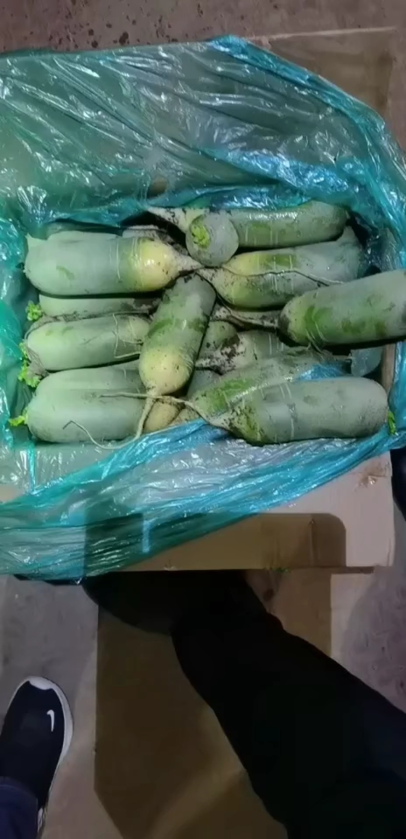 山东平阴萝卜水果萝卜口感好，超市，电商，加工厂