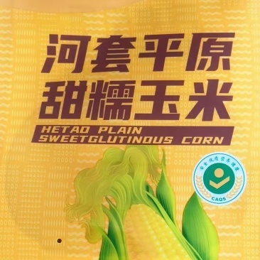 井公甜糯玉米