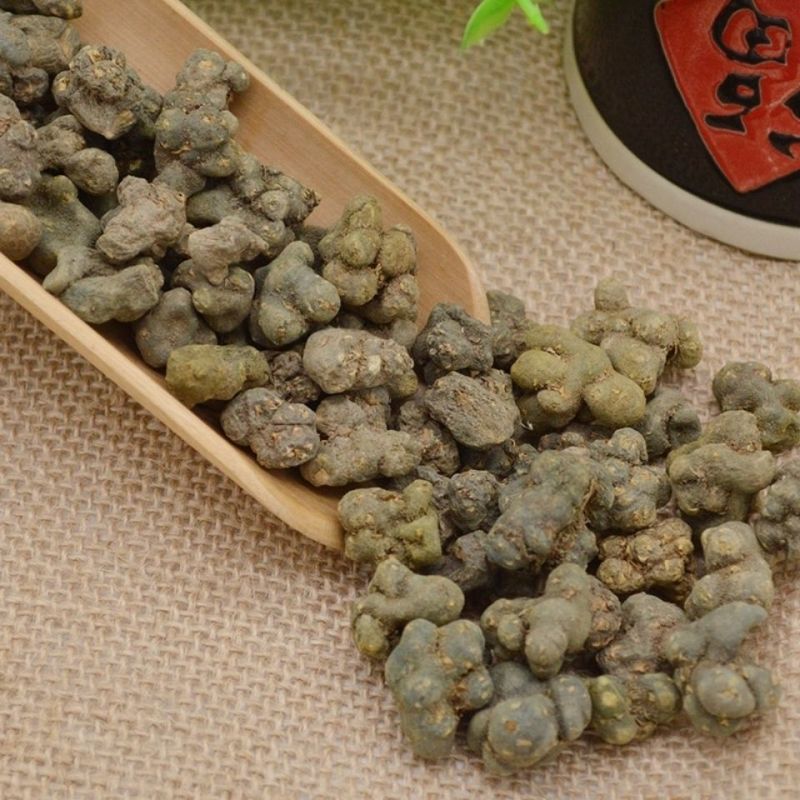 夏天无中药材落水珠一粒金丹夏天舞伏地飞