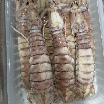 活煮皮皮虾全规格适合各大酒店大排档