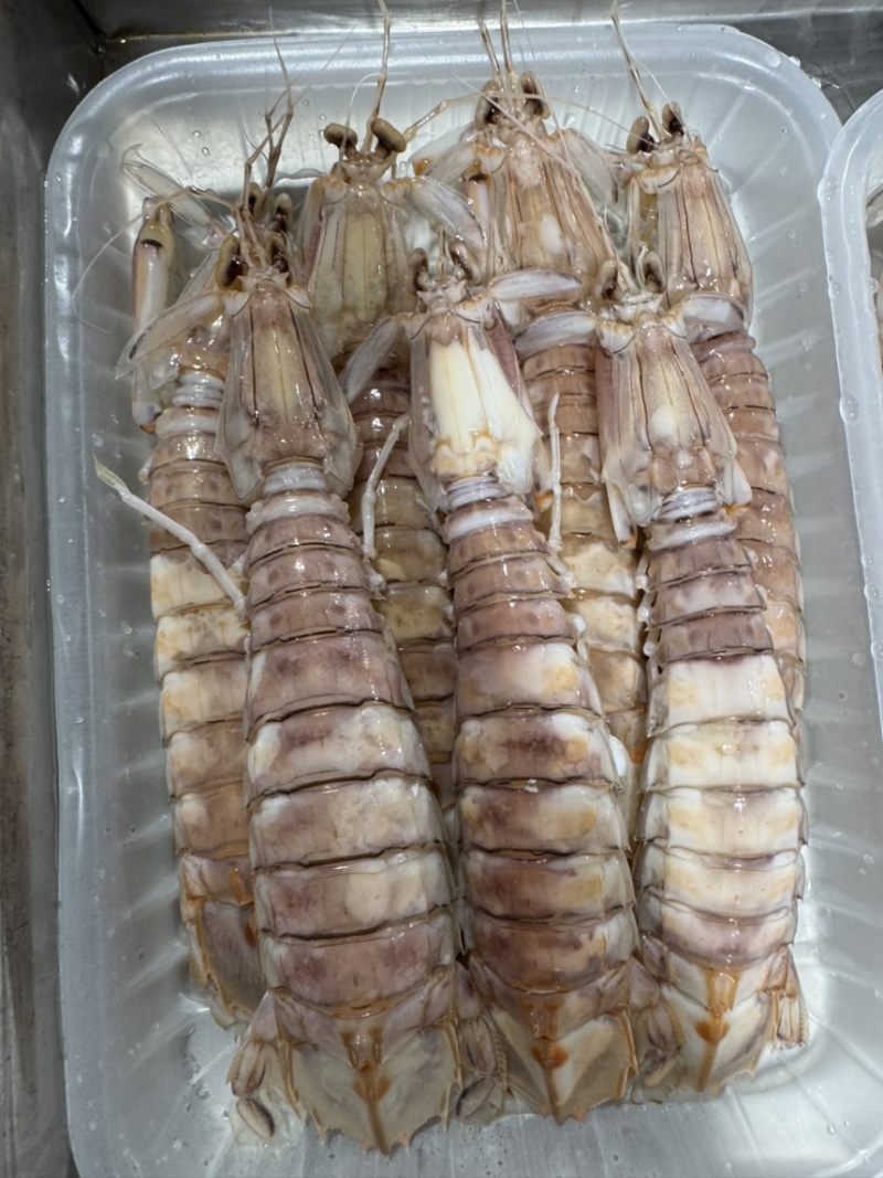 活煮皮皮虾全规格适合各大酒店大排档
