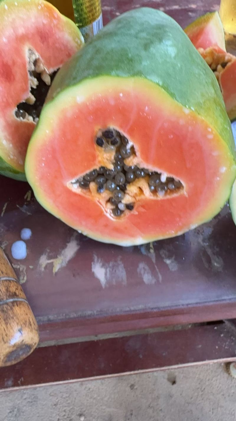 精品水果木瓜
