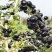 黑枸杞新疆特产头茬无加工原味泡茶泡水散装新货包邮批发