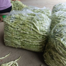 白豆角，白芸豆角，品质保证，产地直发，价格优惠