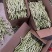 白豆角，白芸豆角，品质保证，产地直发，价格优惠