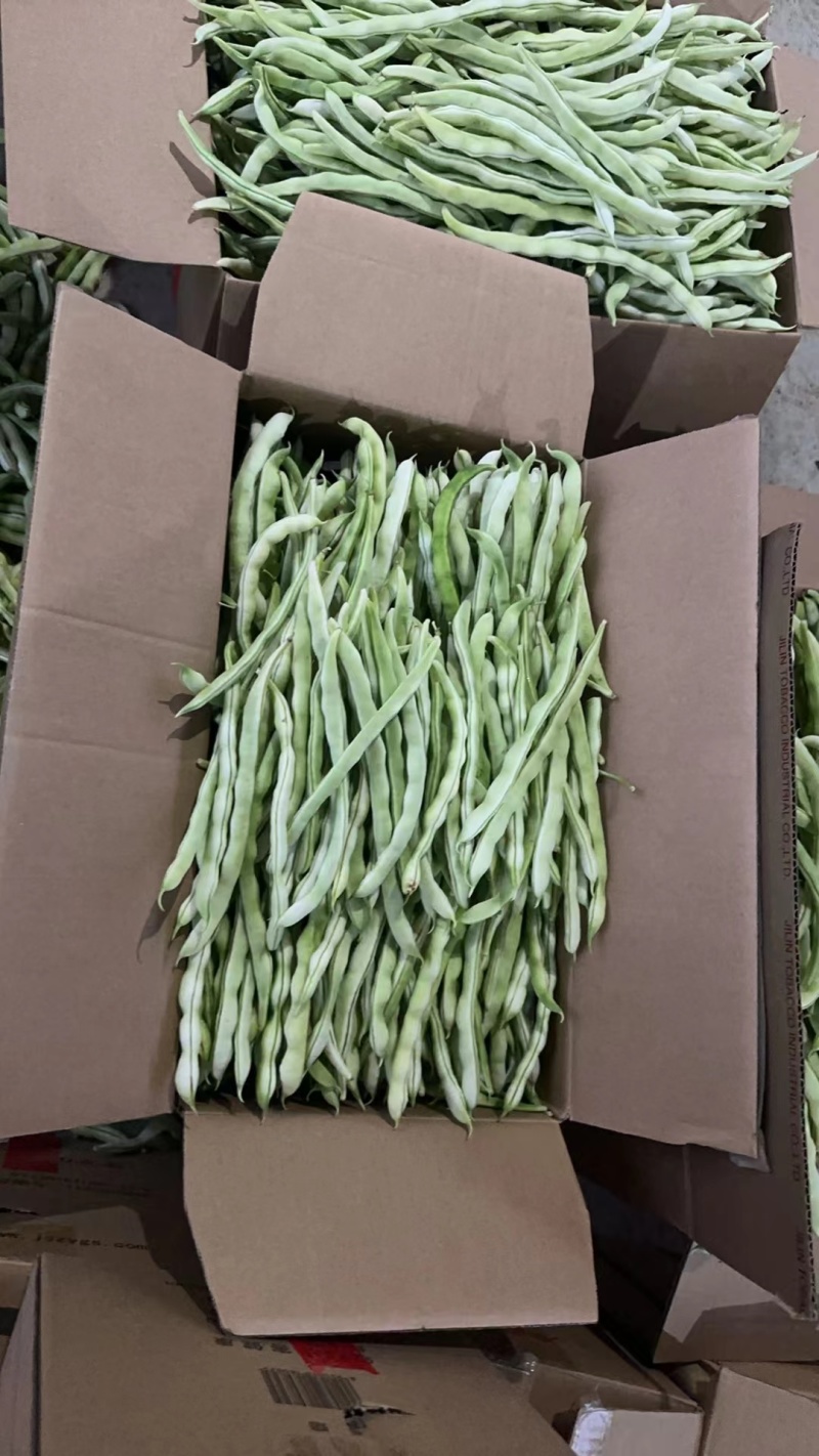 白豆角，白芸豆角，品质保证，产地直发，价格优惠
