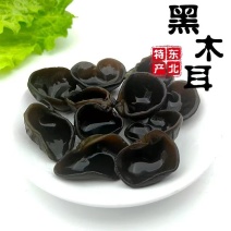 精选黑木耳东北产地直供质量保证货源充足对接电商一件代发