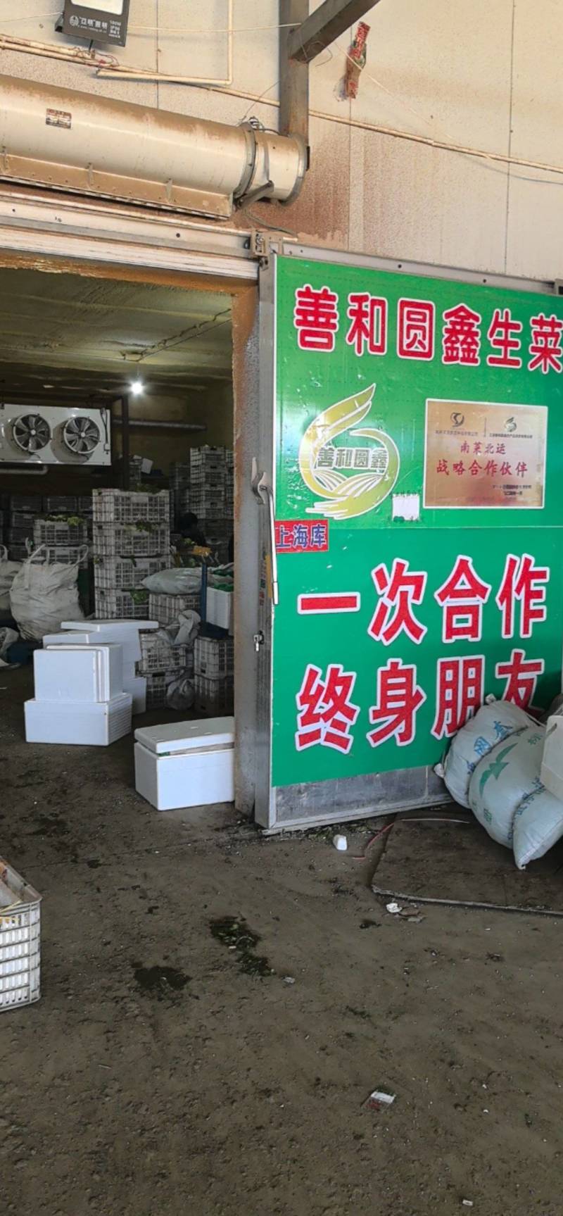 善和圆鑫球生菜，基地直发，冷库加工，冷链运输，净菜包装。