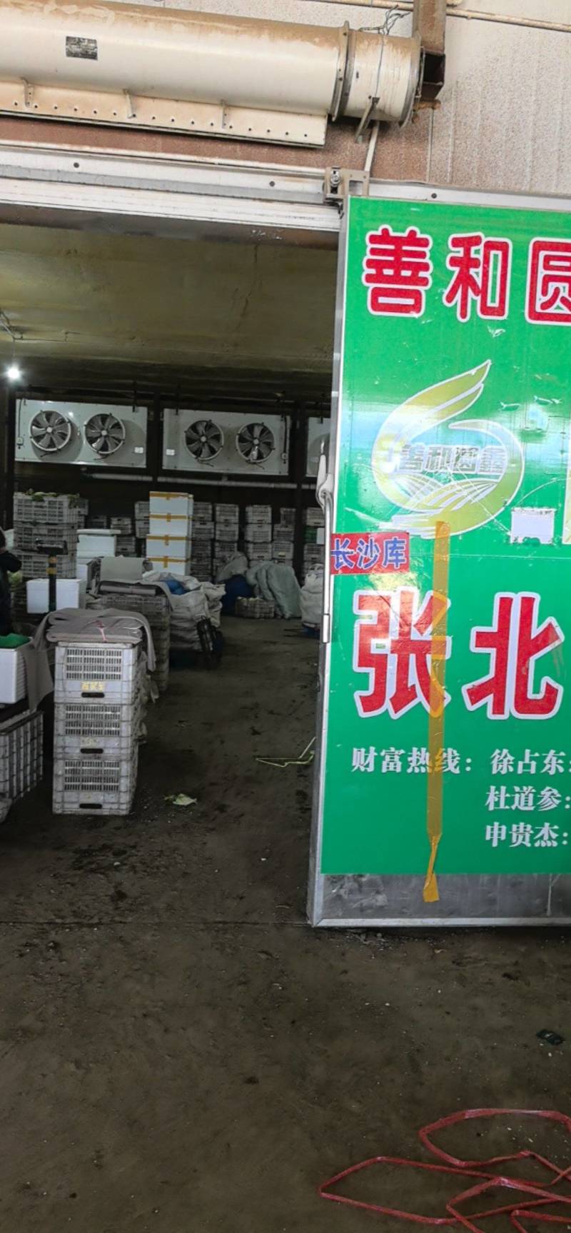 善和圆鑫球生菜，基地直发，冷库加工，冷链运输，净菜包装。