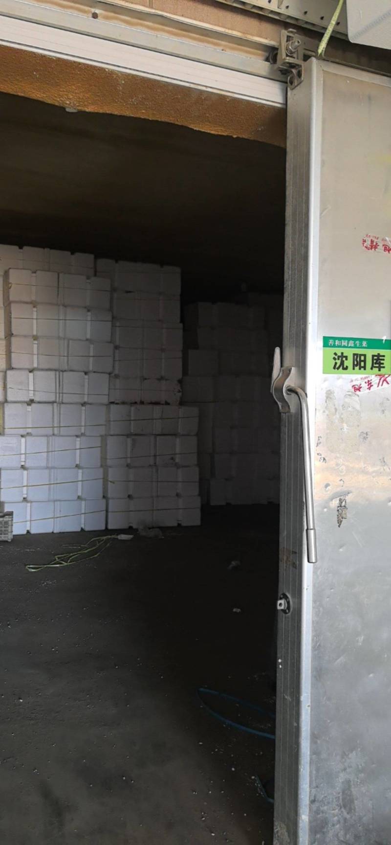 善和圆鑫球生菜，基地直发，冷库加工，冷链运输，净菜包装。