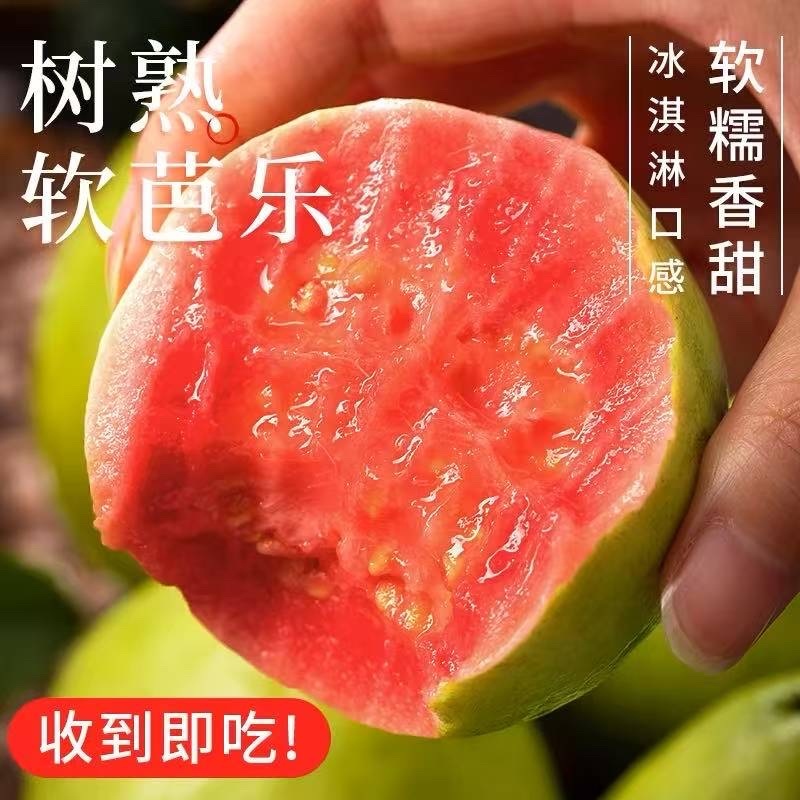 广东广西红心白心奶油芭乐一件代发