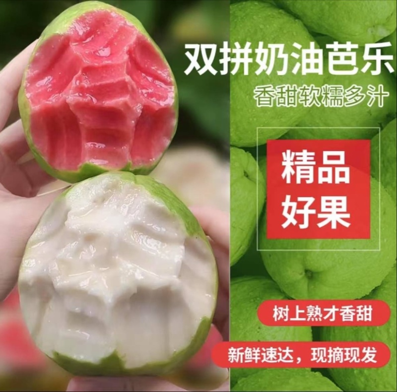 番石榴红心白心芭乐一件代发