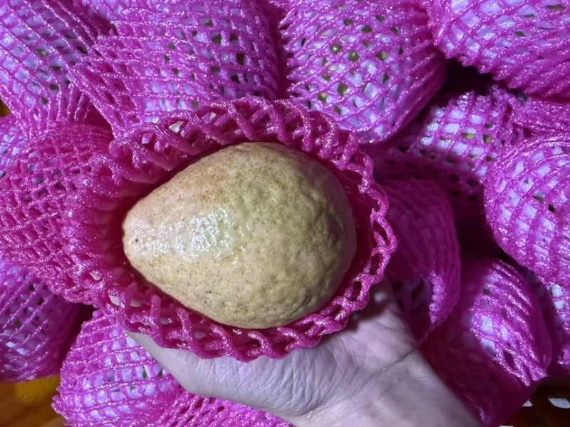 西瓜红芭乐商超品质茶饮店**