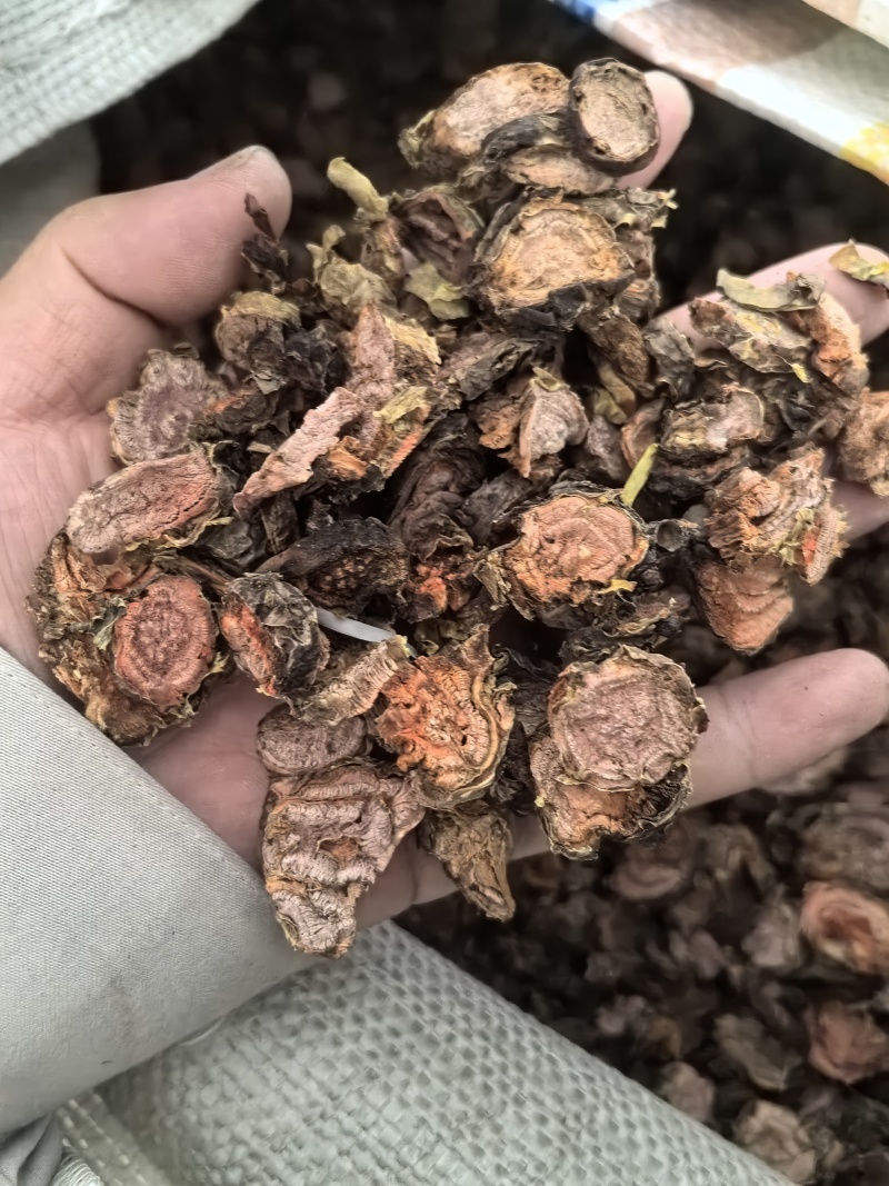 红景天带皮圆片，合法手续