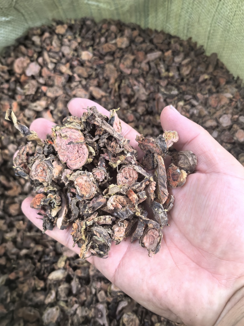 红景天带皮圆片，合法手续