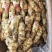 山东红芽鲜姜大量上市代存入库现挖现发保质保量