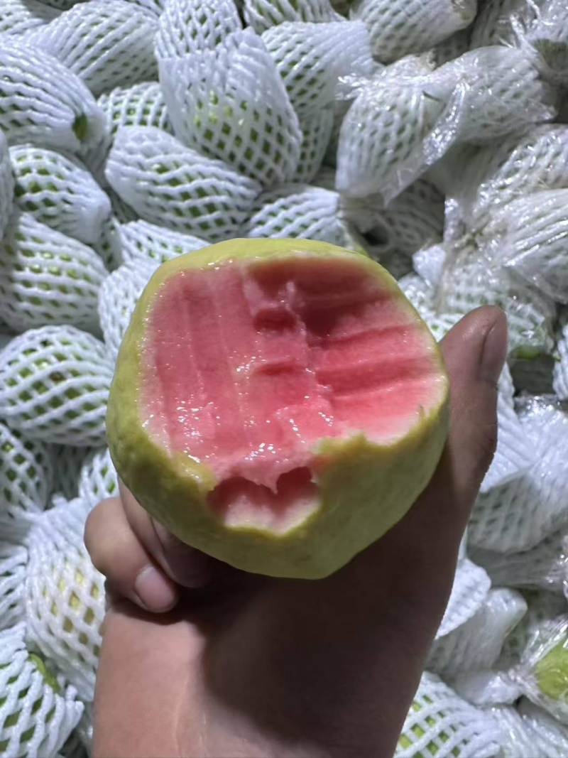 奶油红心白心芭乐茶饮店酸嘢店供应