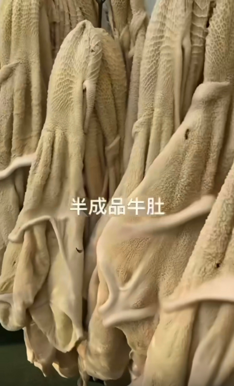 水退熟牛肚，带着金钱肚，可按顾客要求定制