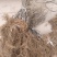 红心猕猴桃苗原产地基地直发现挖现发嫁接苗
