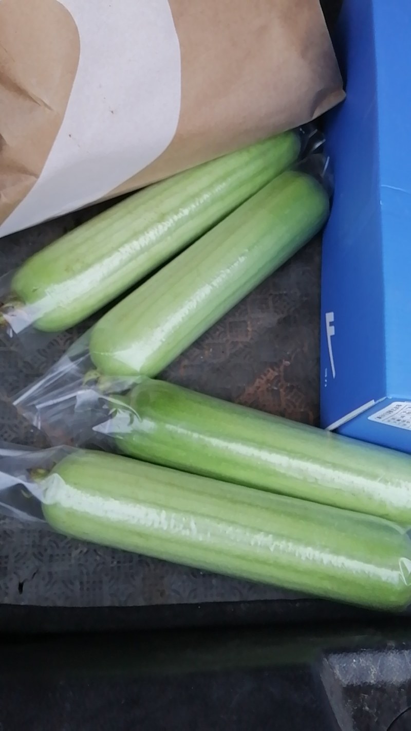 新苗精品白玉丝瓜