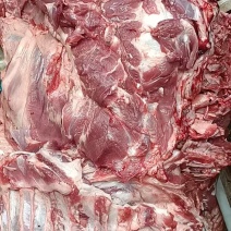 冻板羊肉