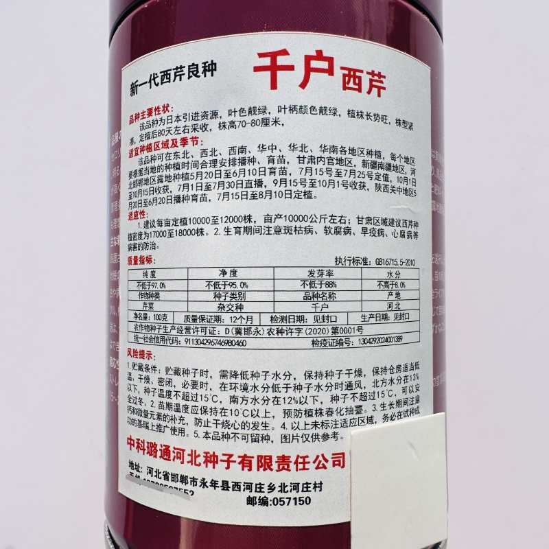 新一代西芹良种千户西芹种子罐装长势旺颜色靓绿高端芹菜种子