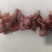 牛叉骨