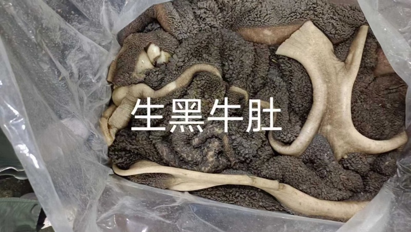 生黑牛肚