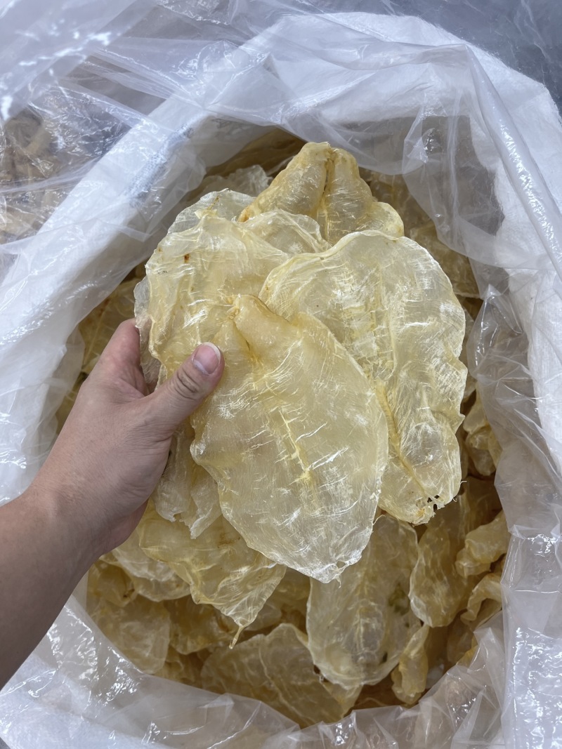 甲肚片25头