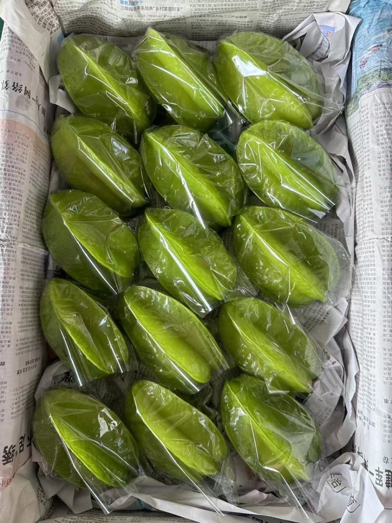 【实力推荐】精品杨桃货源充足全国发货量大从优致电联系
