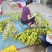 【实力推荐】精品杨桃货源充足全国发货量大从优致电联系