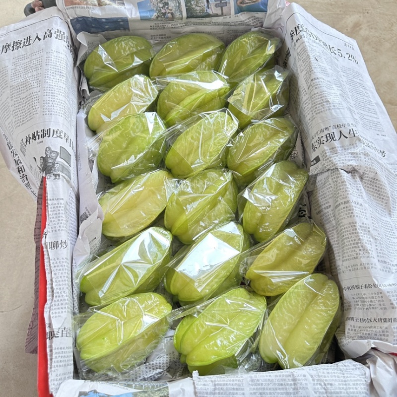 精品杨桃货源充足，全国发货，量大从优致电联系