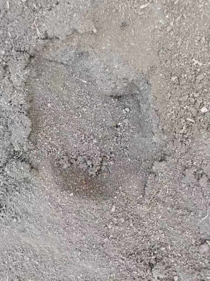 河南鸡粪发酵鸡粪大量有货，欢迎全国各地采购商致电联系合作