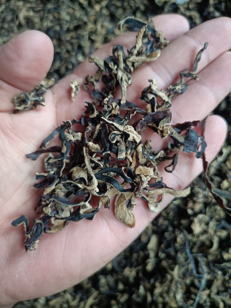 5.8元一斤木耳丝电商专用足干木耳丝自产自销木耳丝去根