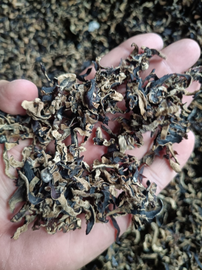 5.8元一斤木耳丝电商专用足干木耳丝自产自销木耳丝去根