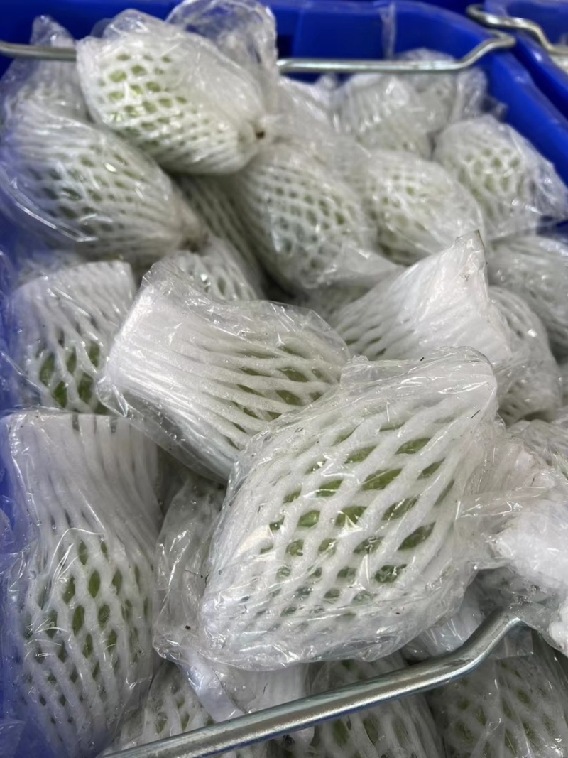 广东现摘番石榴5斤番石榴芭乐水果新鲜清脆香甜当季整箱包邮