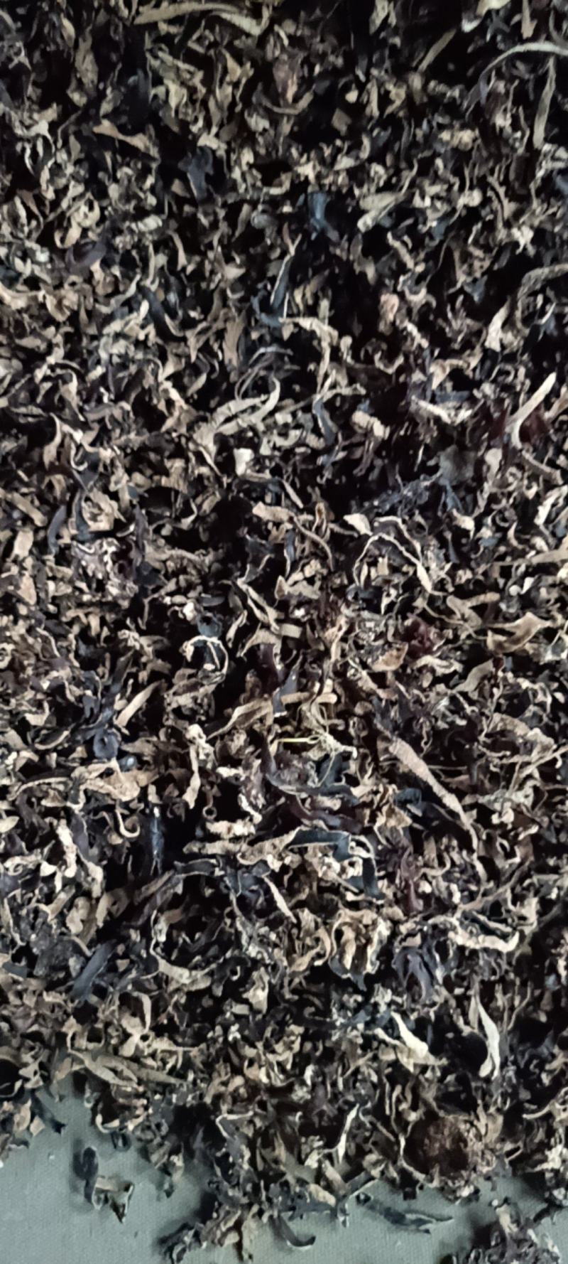电商用木耳丝5.8元一斤足干去根木耳丝***木耳丝精品木