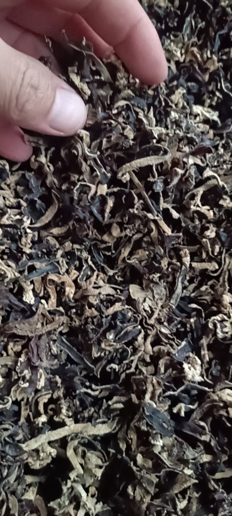 电商用木耳丝5.8元一斤足干去根木耳丝***木耳丝精品木