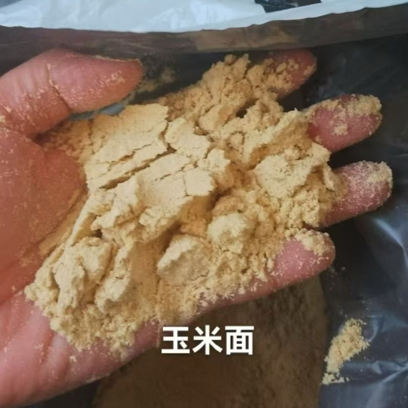 玉米面
