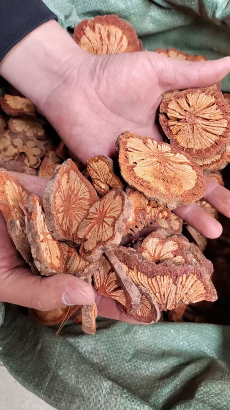 血塞通红藤大血藤大片中片脑血通中药材大红藤规格齐全稳定货