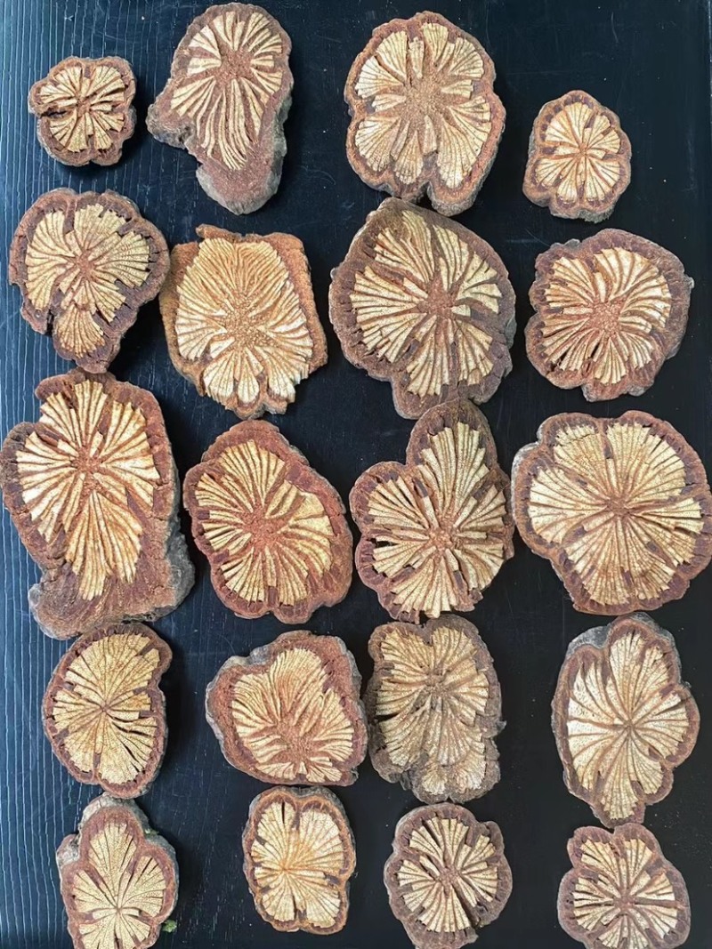 血塞通红藤大血藤大片中片脑血通中药材大红藤规格齐全稳定货