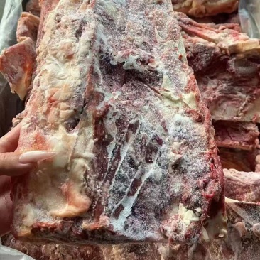 牛羽骨