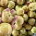 大荔冬枣大量上市，需要联系