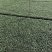 矮麦冬方盘