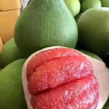 三红蜜柚