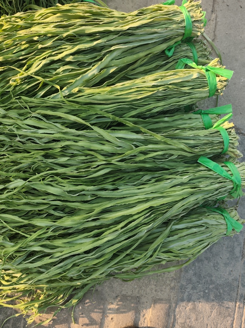 精品贡菜健康绿色全年大量有货贡菜之乡原产地供应
